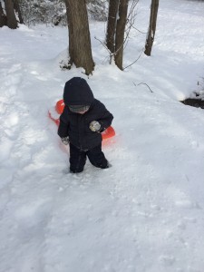 Max in the snow