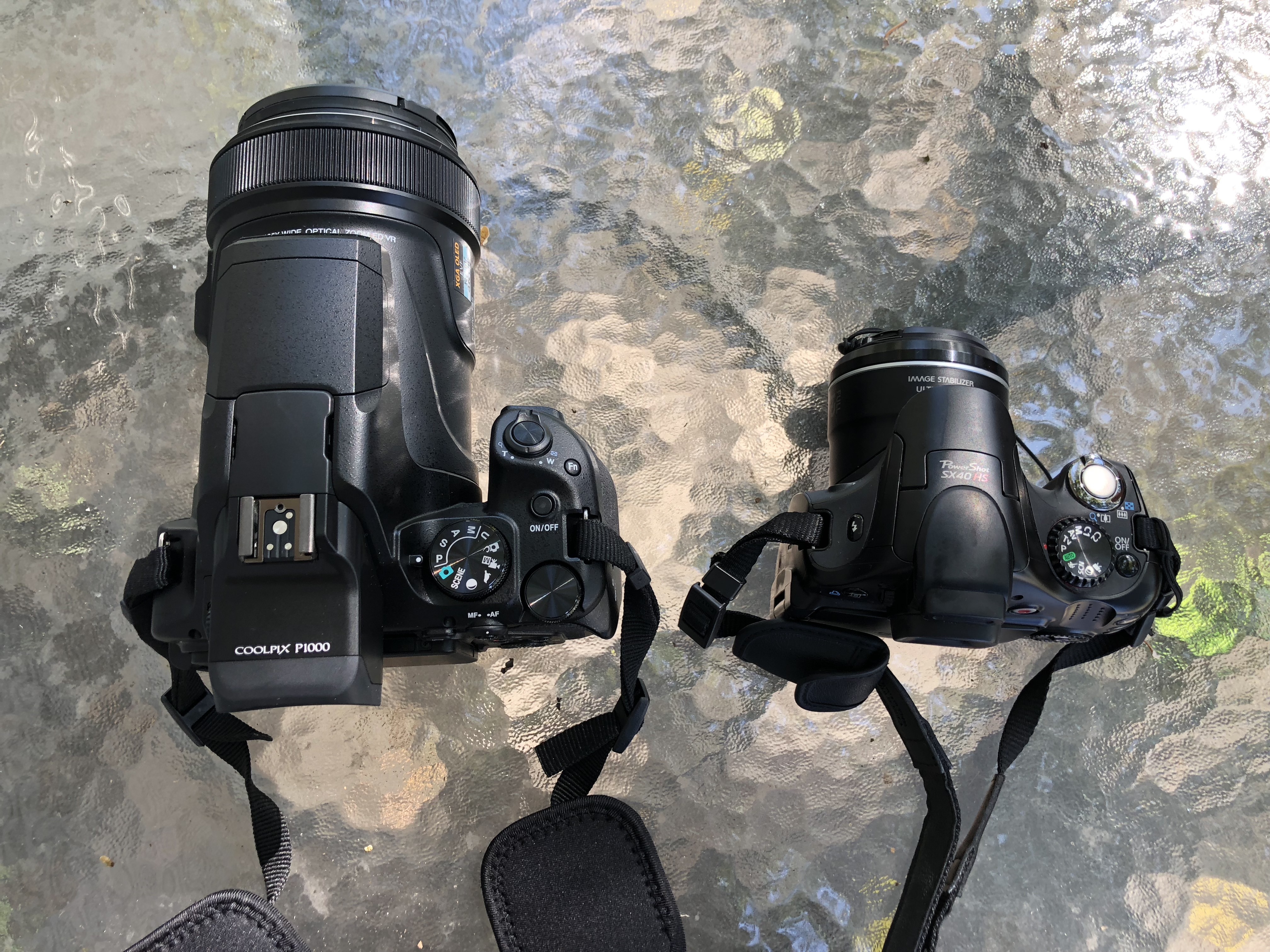 Canon SX40HS vs Nikon P1000